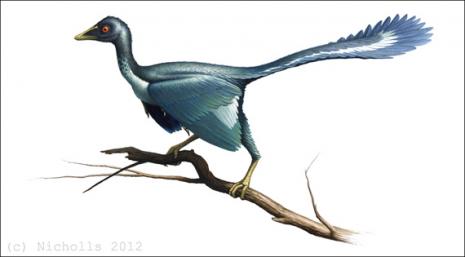 <i>Archaeopteryx lithographica</i>