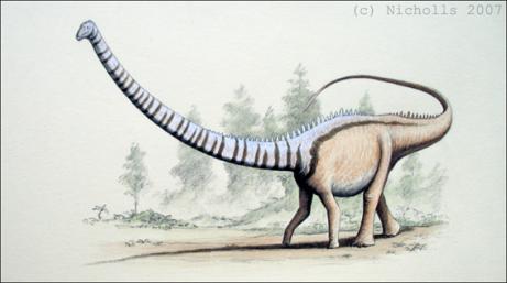 <i>Barosaurus</i> sp.