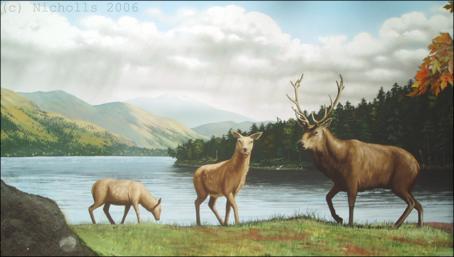Red Deer at Loch Lomond