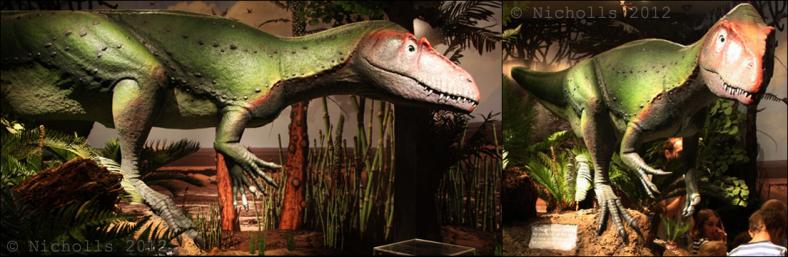 Life-size sub-adult <i>Megalosaurus bucklandii</i> (4m long)     