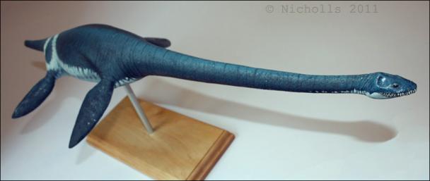 Scale model of <i>Muraenosaurus leedsi</i> (50cm long)      