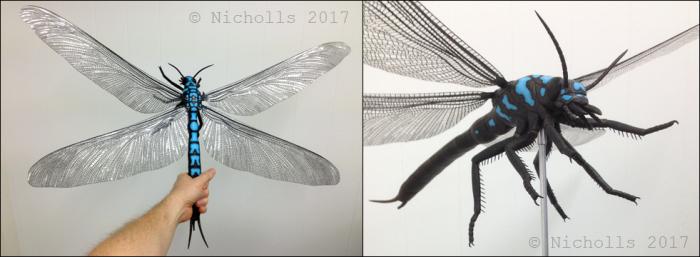 Life-size <i>Meganeuropsis permiana</i> (75cm wingspan)