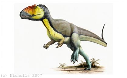 <i>Allosaurus fragilis</i>