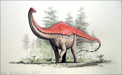 <i>Apatosaurus</i> sp.