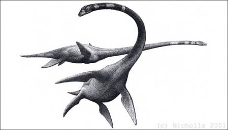 <i>Elasmosaurus platyurus</i>