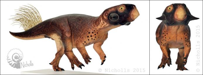 Life-size <i>Psittacosaurus</i> sp. with accurate colour patterns (118cm long)